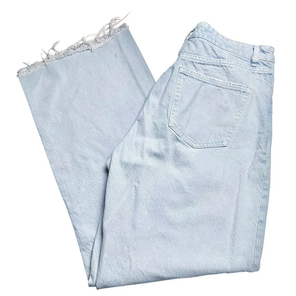 Zara | Women | Light Wash Wide Leg High Rise Classic Denim Jeans | Size US 10